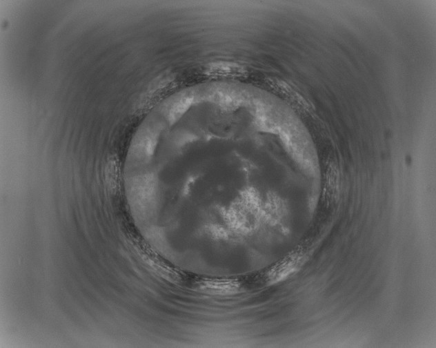 X0000081430659200702021654