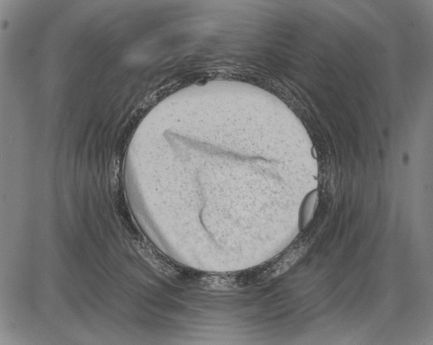 X0000081430660200702021654