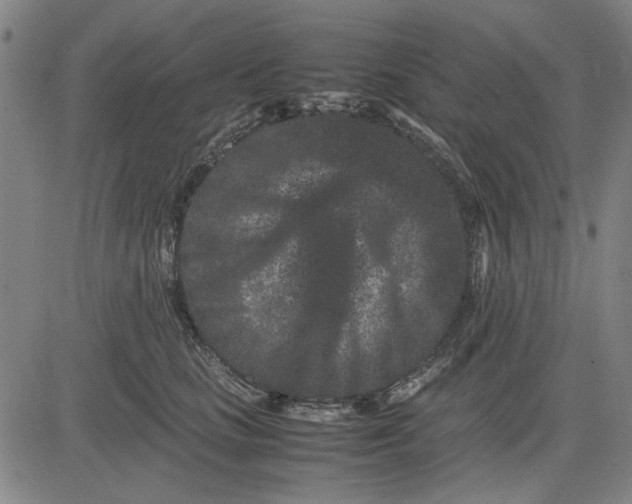 X0000081430661200702021654