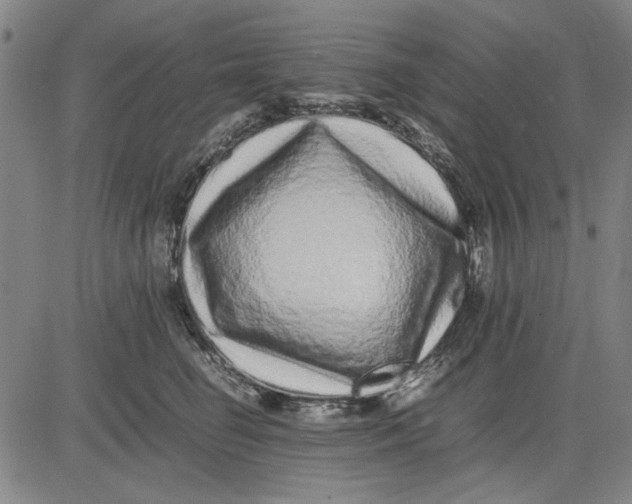 X0000081430662200702021654