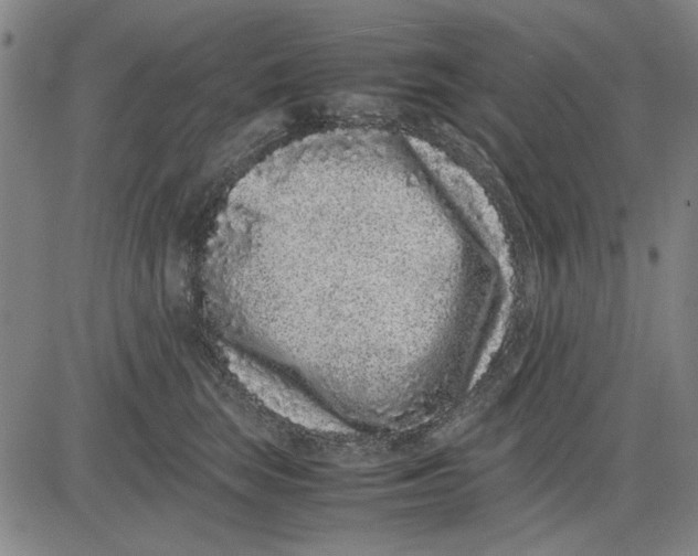 X0000081430663200702021654