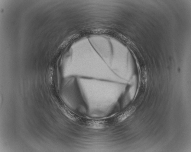 X0000081430664200702021654