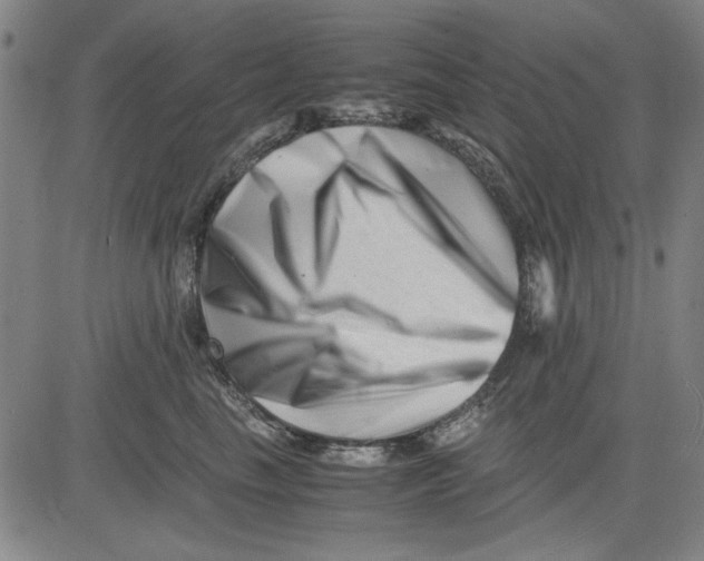 X0000081430665200702021654