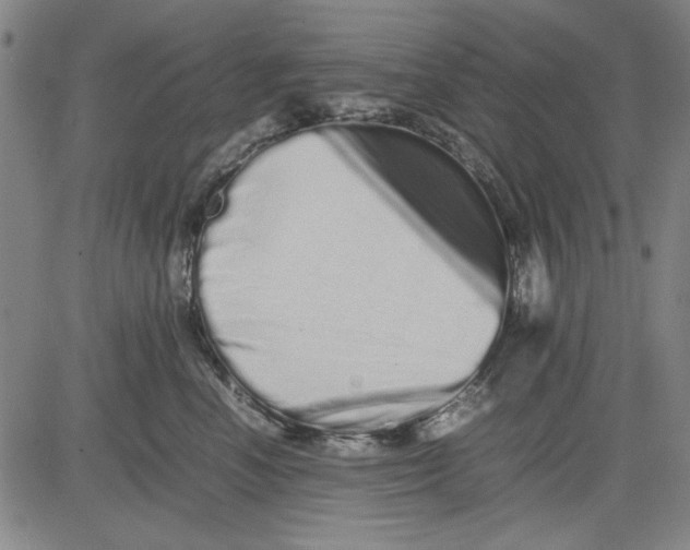 X0000081430666200702021654