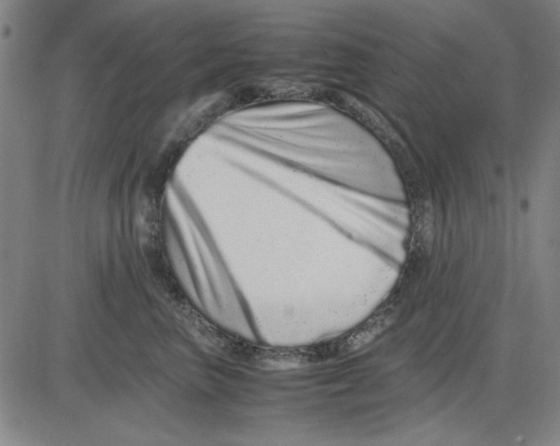 X0000081430667200702021654