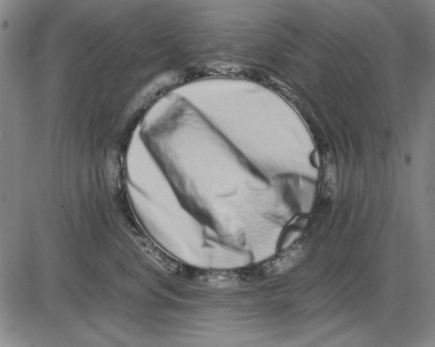 X0000081430668200702021654