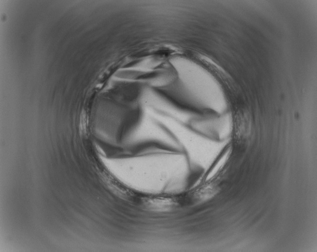 X0000081430669200702021654