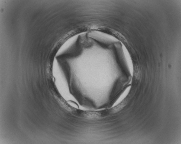 X0000081430670200702021654