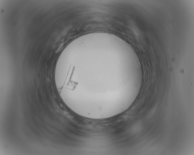 X0000081430672200702021654