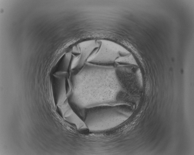 X0000081430673200702021653