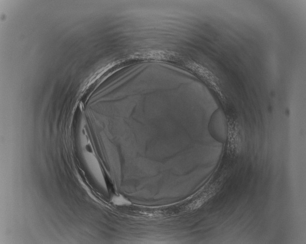 X0000081430674200702021653