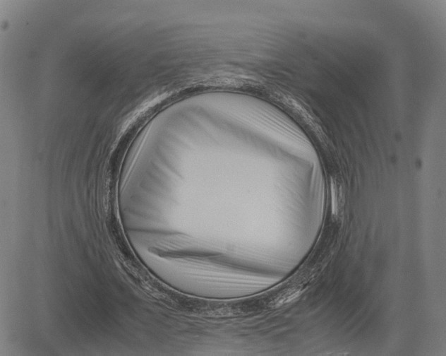 X0000081430675200702021653