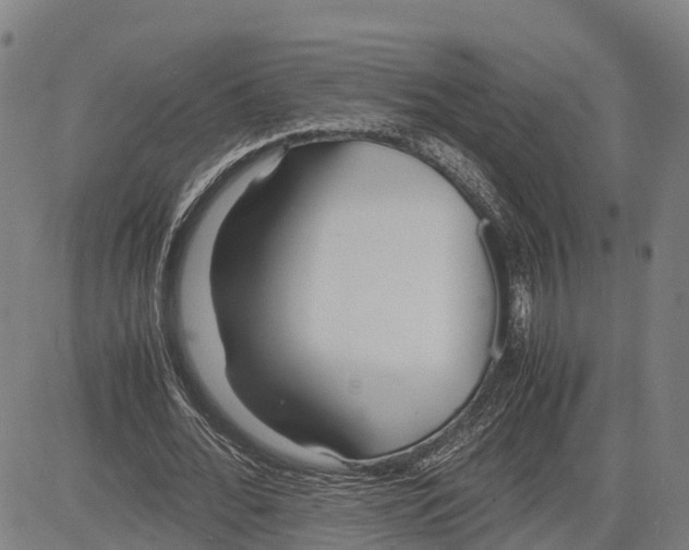 X0000081430676200702021653