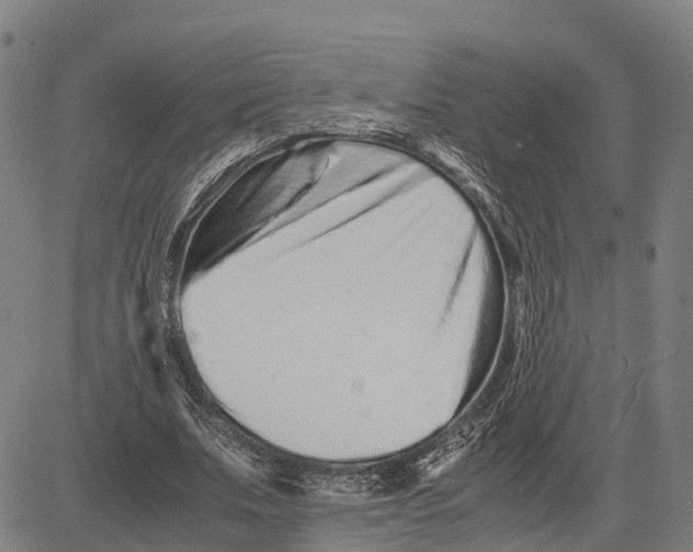 X0000081430679200702021653