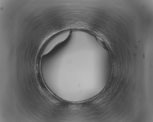 X0000081430680200702021653