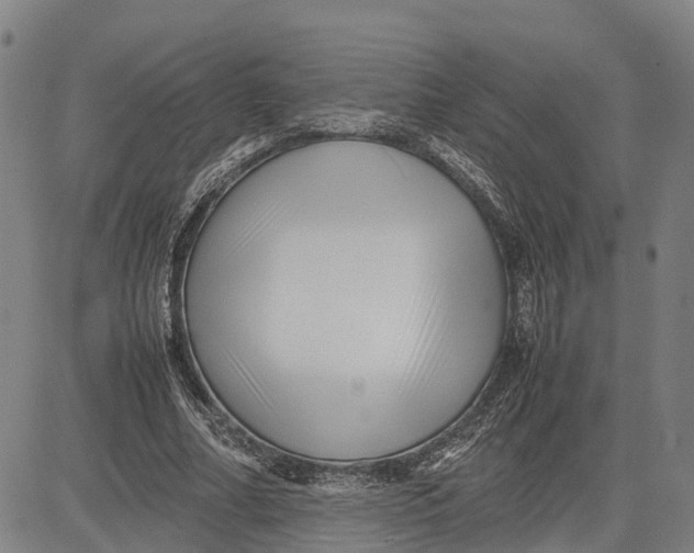 X0000081430682200702021653