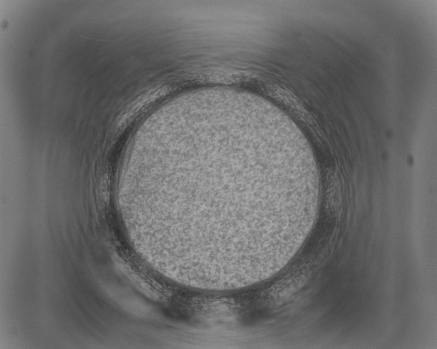 X0000081430683200702021653