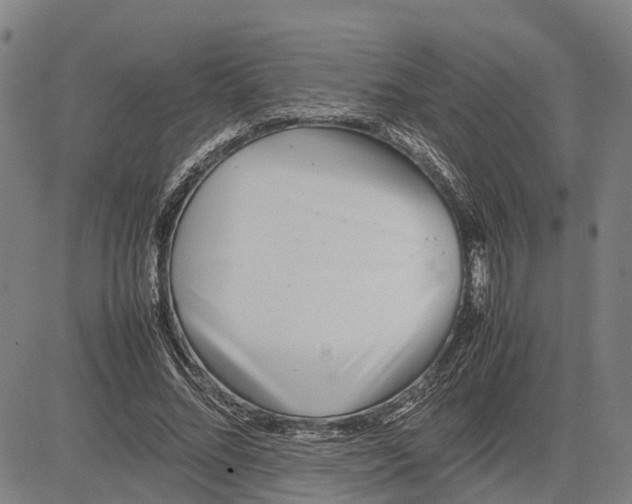 X0000081430684200702021653