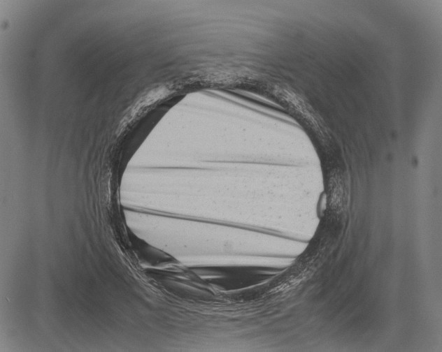 X0000081430685200702021653