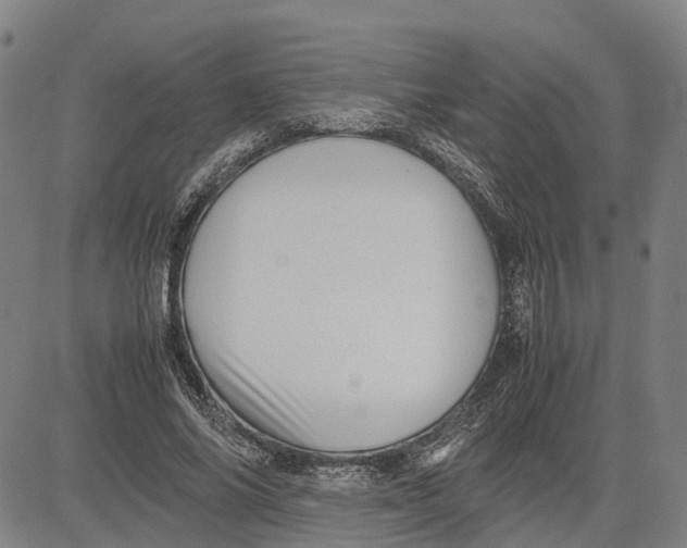 X0000081430686200702021653