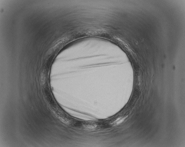 X0000081430687200702021653