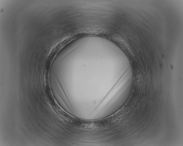 X0000081430688200702021653