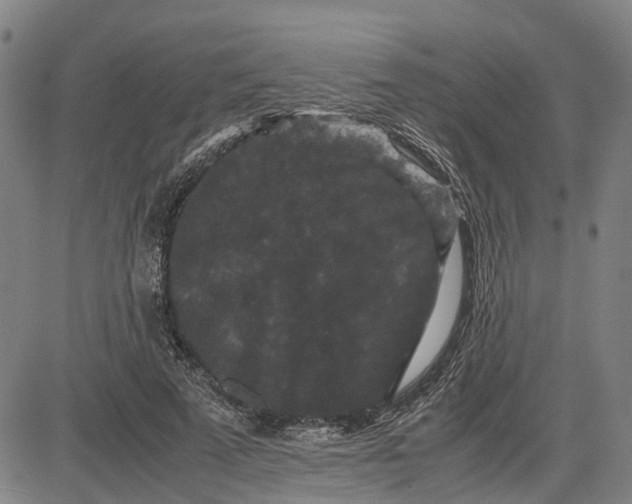 X0000081430689200702021653