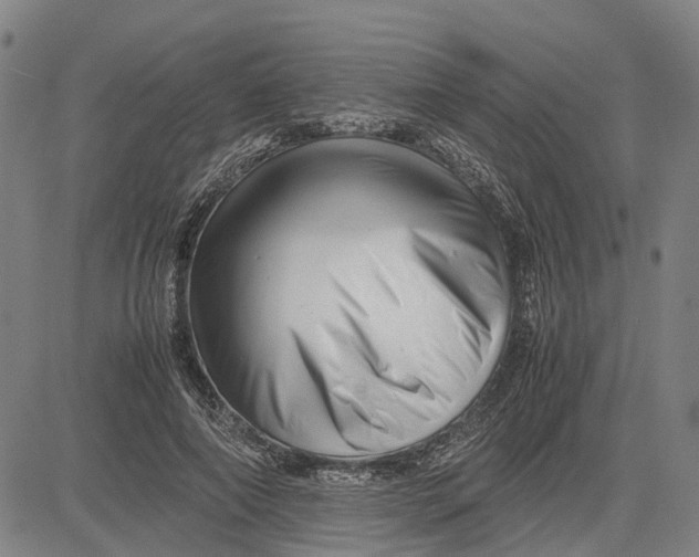 X0000081430690200702021653