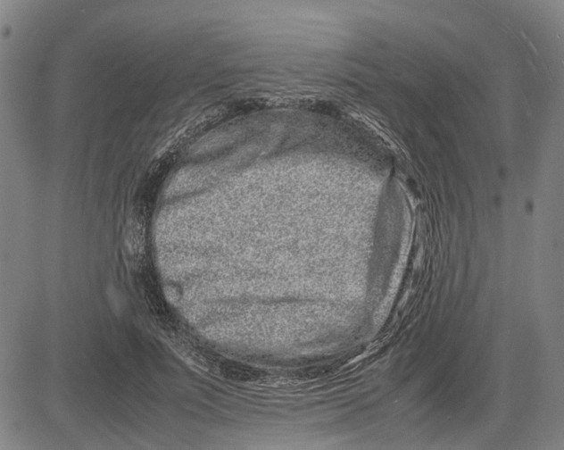 X0000081430691200702021653