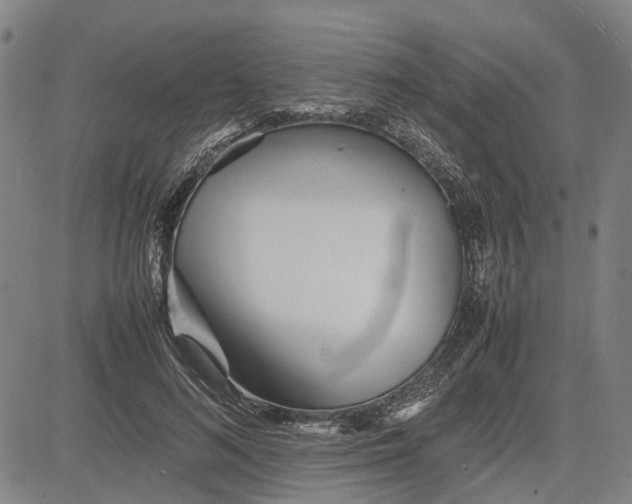 X0000081430692200702021653