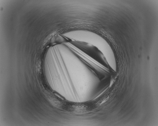 X0000081430693200702021653