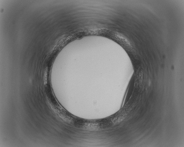 X0000081430694200702021653