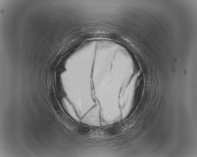 X0000081430695200702021653