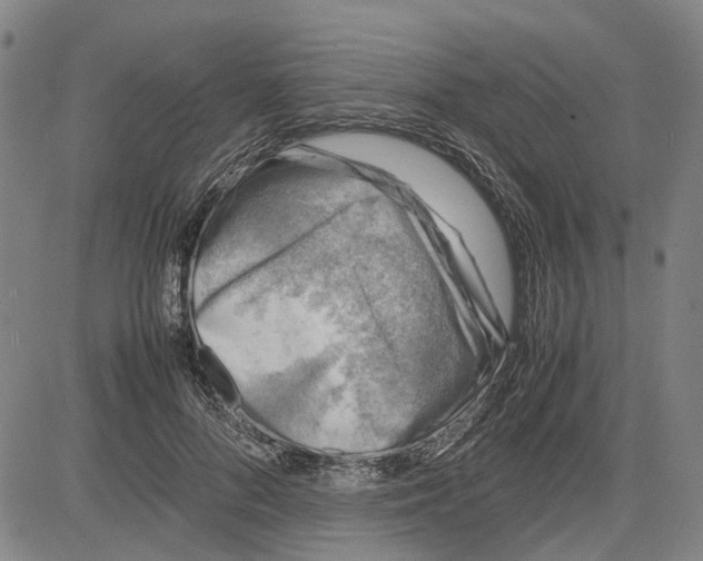 X0000081430696200702021653