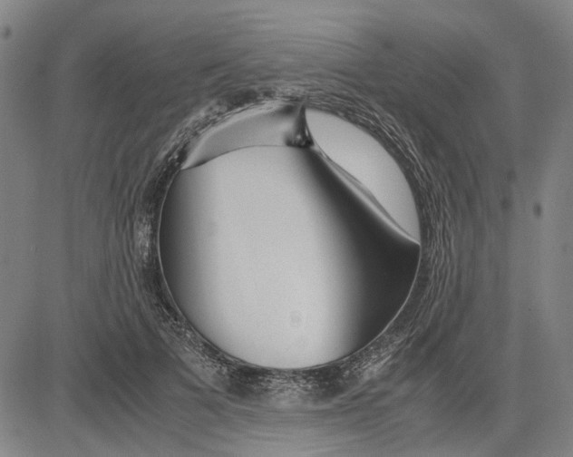 X0000081430697200702021653