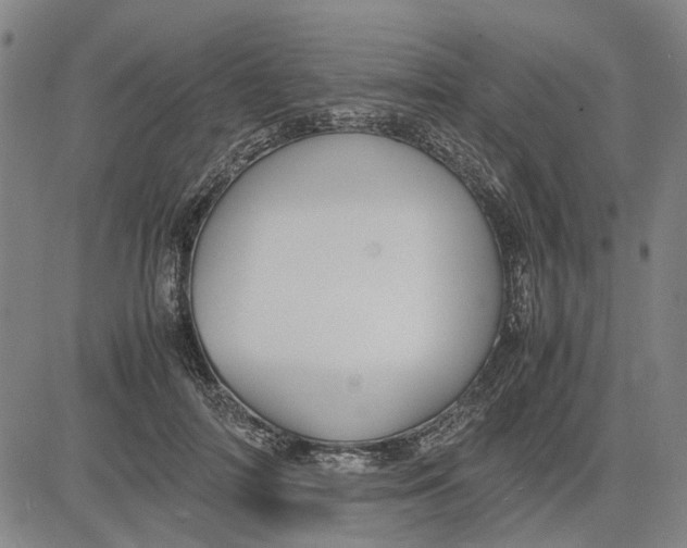 X0000081430698200702021653