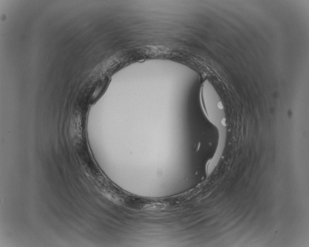 X0000081430700200702021653