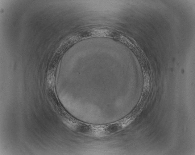 X0000081430701200702021653