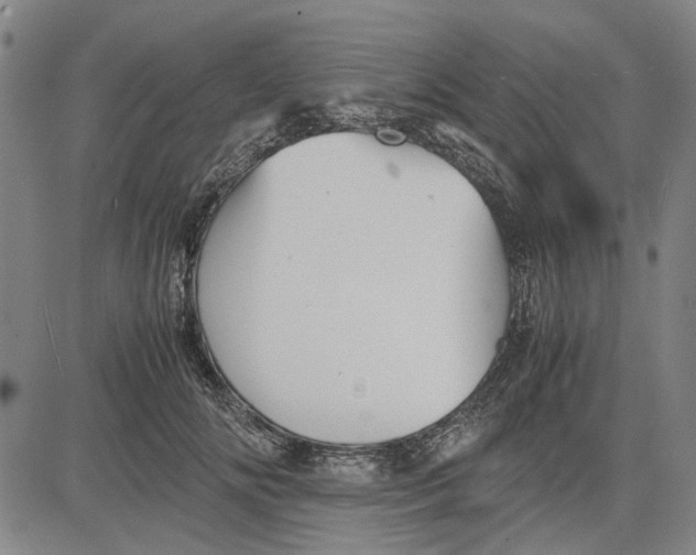 X0000081430702200702021652