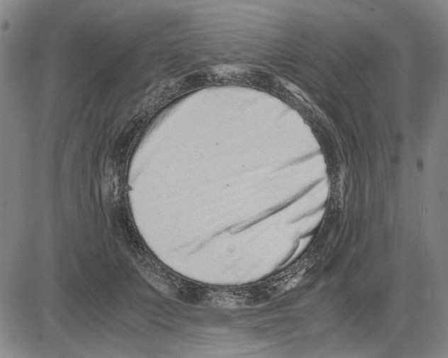 X0000081430703200702021652