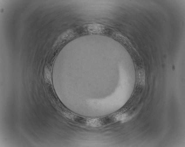 X0000081430705200702021652