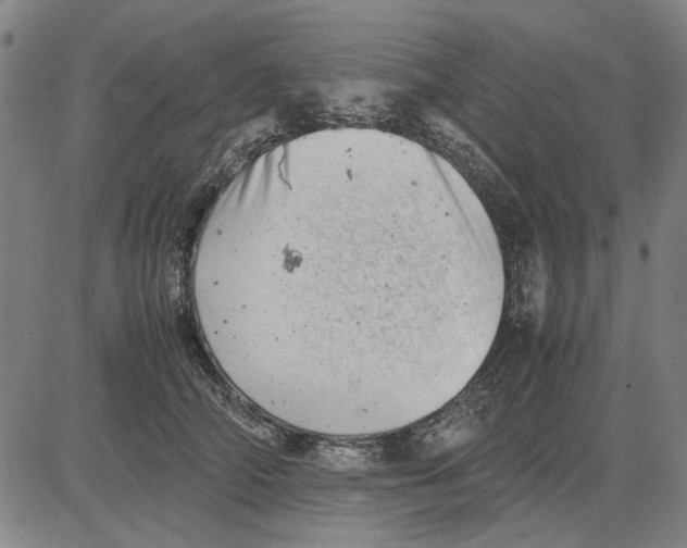 X0000081430706200702021652