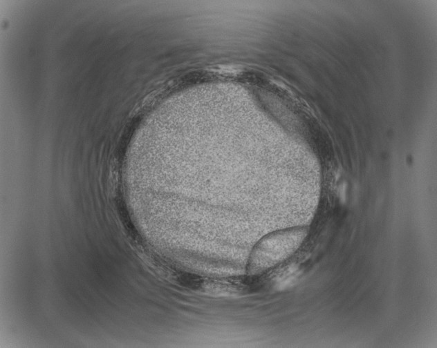 X0000081430707200702021652