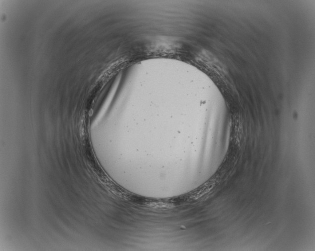 X0000081430708200702021652