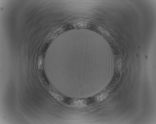 X0000081430709200702021652