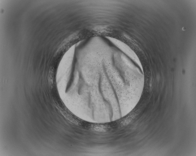 X0000081430710200702021652