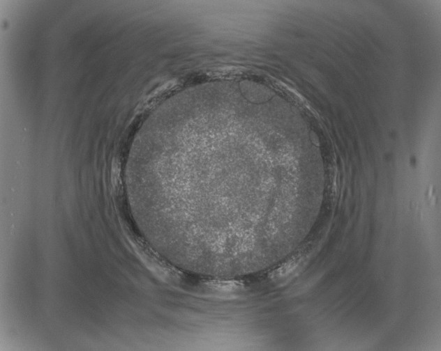 X0000081430711200702021652