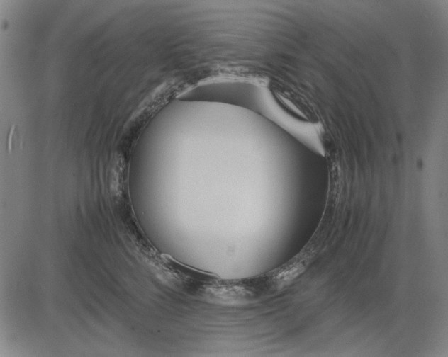 X0000081430712200702021652