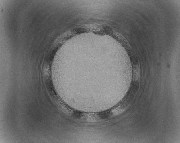 X0000081430713200702021652