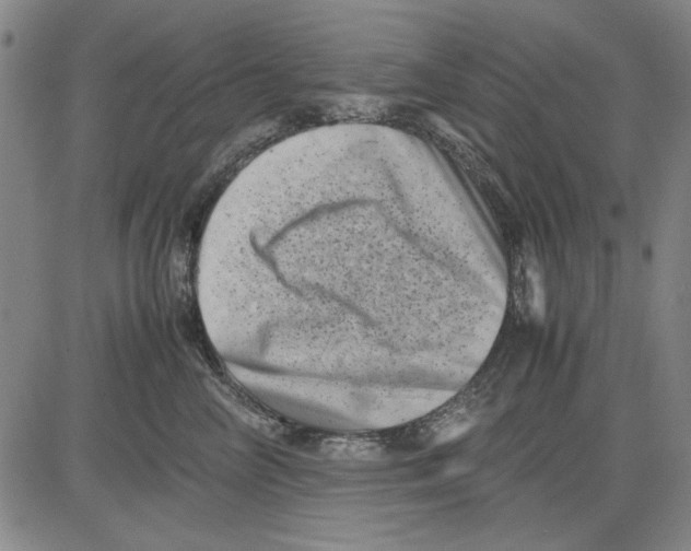 X0000081430714200702021652